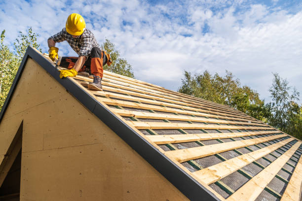 Best Roof Maintenance Services  in Campbellsburg, KY